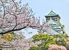 开云注册入口-媒体支招国足选帅：少壮派土帅、土洋结合、斯科拉里